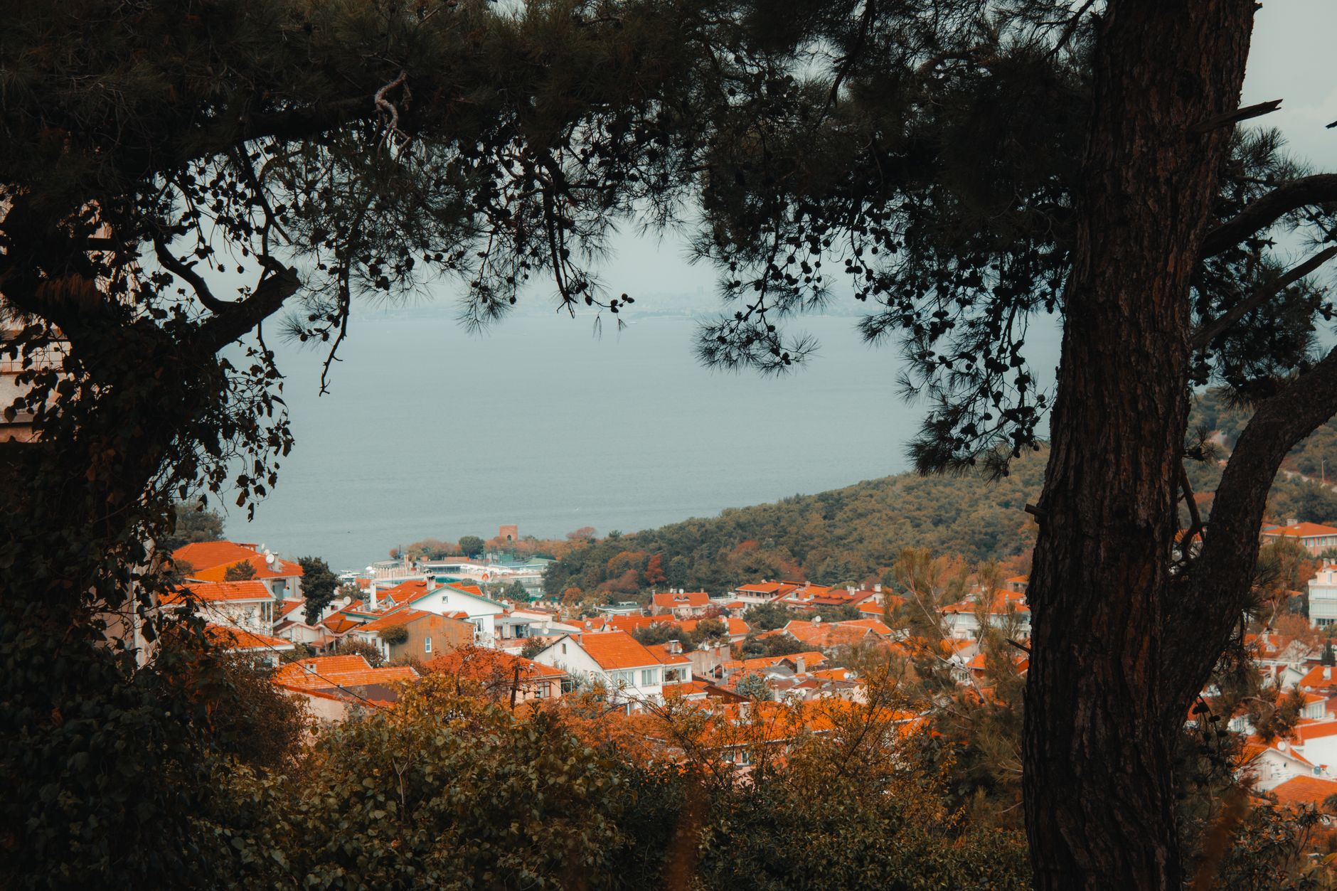 A modern villa with a garden in Demirciköy, Sarıyer