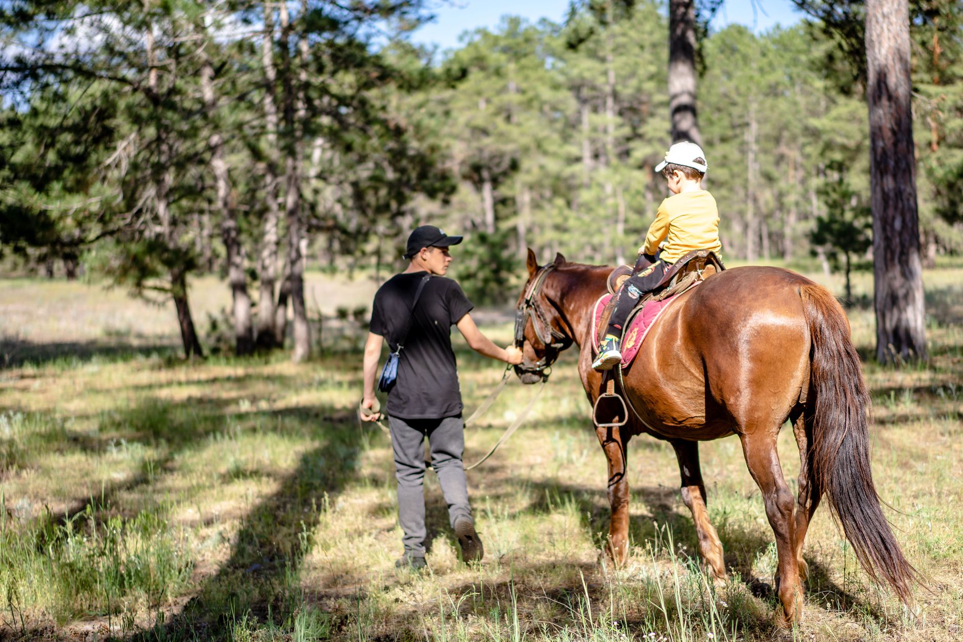 Horse riding and outdoor activities among the woods of Zekeriyaköy