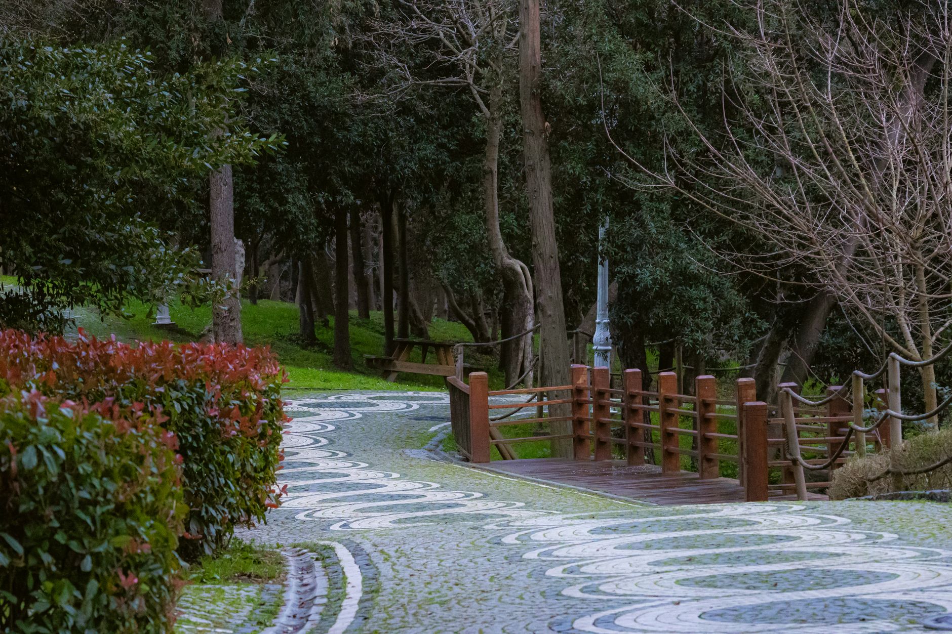 Uskumruköy neighbourhood guide: quiet living among nature in Sarıyer