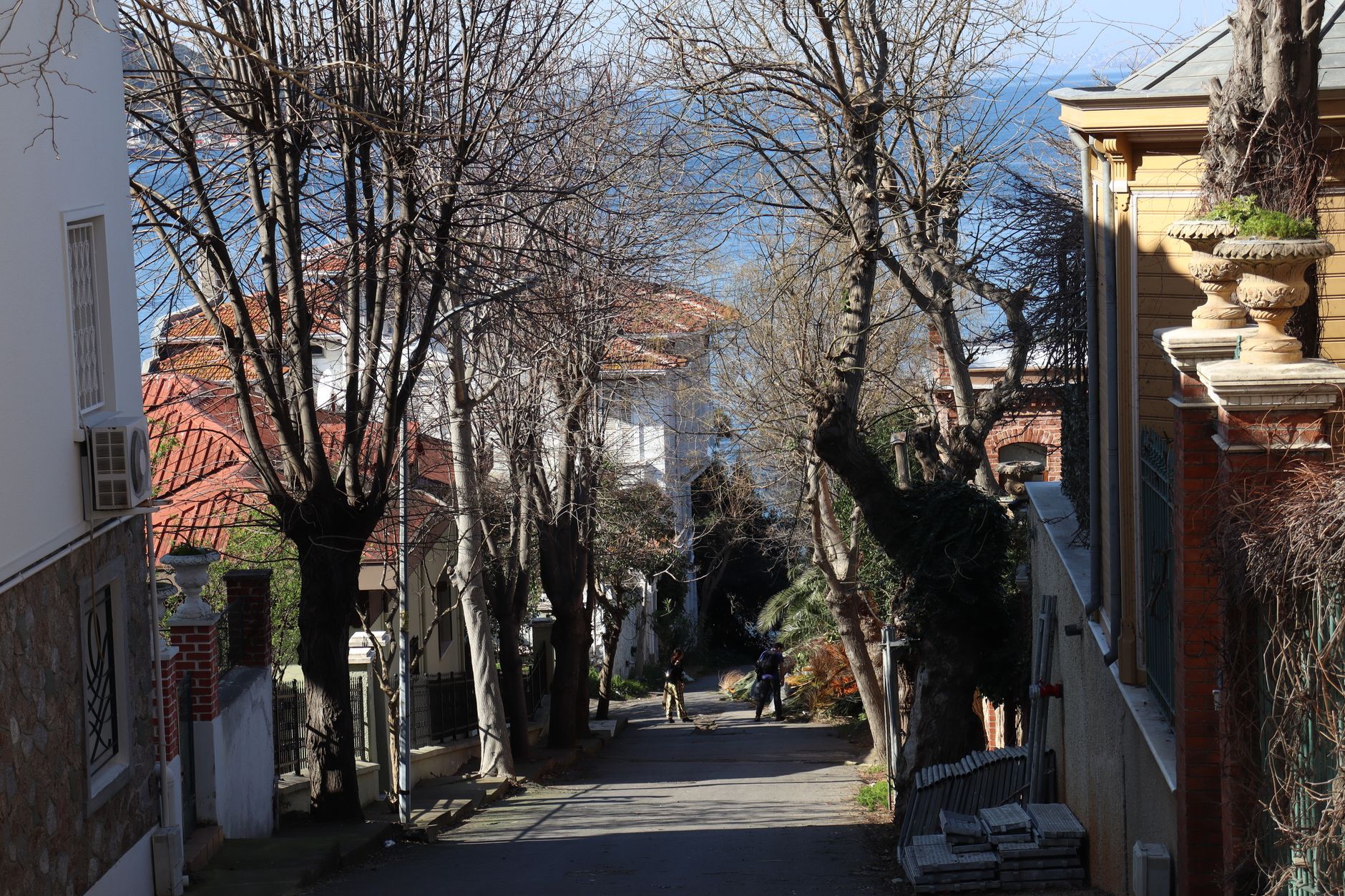 Villas and community spaces with forest views in Zekeriyaköy, Sarıyer, northern Istanbul