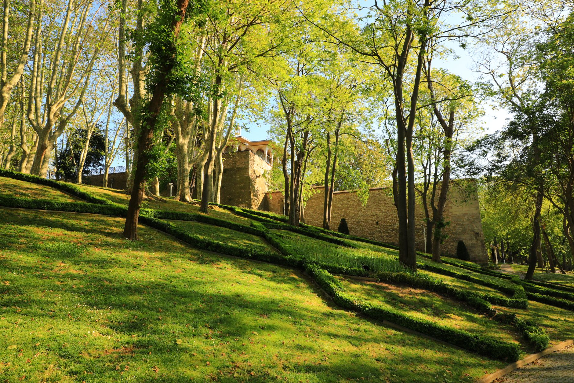Daily life in Zekeriyaköy, Sarıyer: a neighbourhood set into forest and nature